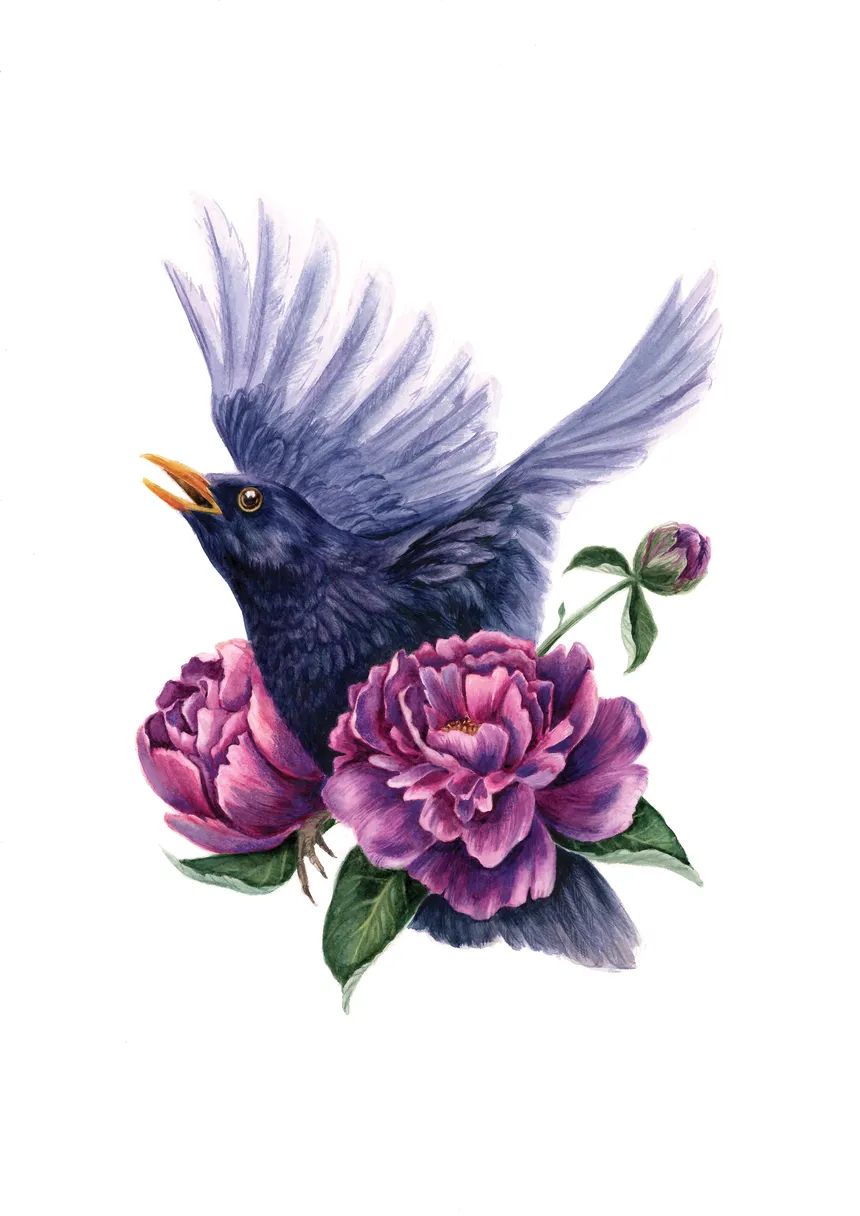 Blackbird and Peonies - 1