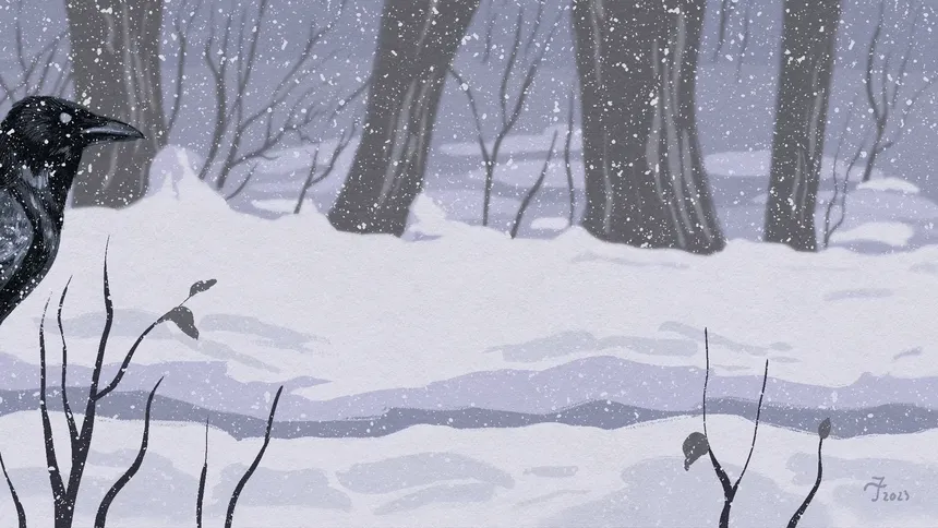 Crow on a walk  - 2